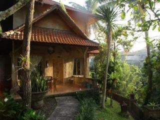 Taman Sakti Resort Ουμπούντ Εξωτερικό φωτογραφία